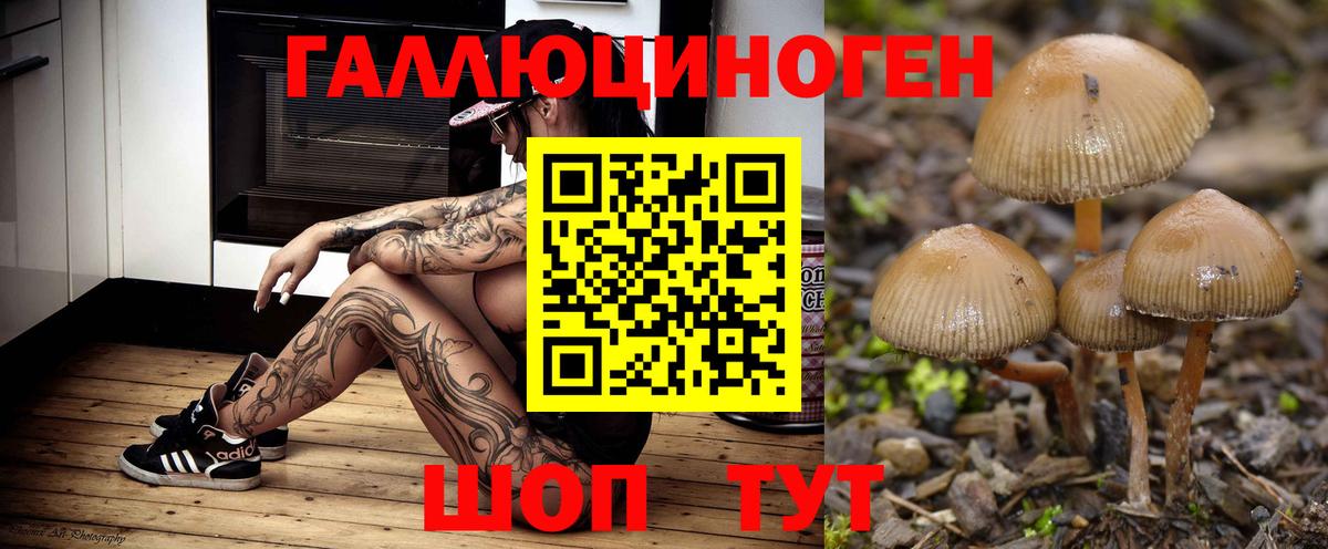Галлюциногенные грибы Magic Shrooms Сергиев Посад